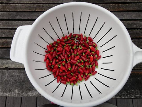 What To Do With These Thai Chili Peppers