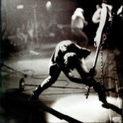 Foto von Fede Baron