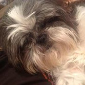 Lisa O'Connor's photo