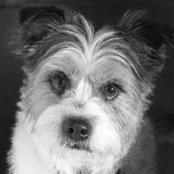 Sarah Nelson's photo