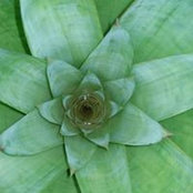 Courtney Downing's photo