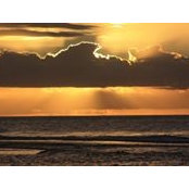 Dave Snider's photo