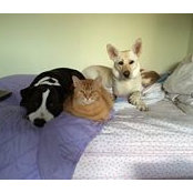 Rona Seltzer's photo
