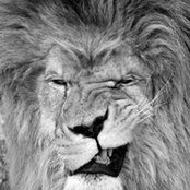 Stefani Huey's photo