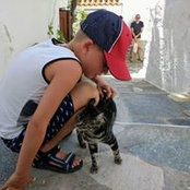 Joy Burridge's photo