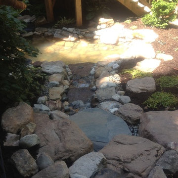 Water Feature: Pond w/ Recirculating Stream