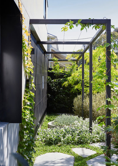 Contemporary  by Peachy Green Garden Architects