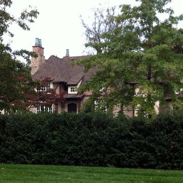 Chimney caps