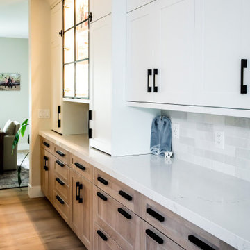 Central Park Whole Home Renovation