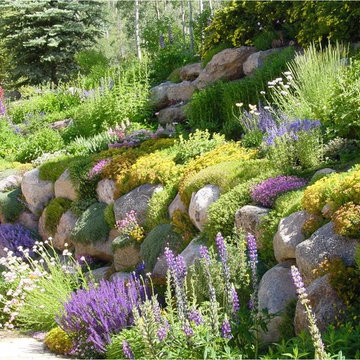 Perennial Gardens