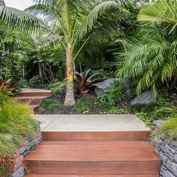Tropical Delight