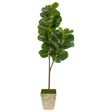 5.5' Fiddle leaf Fig Artificial Tree, Country White Planter