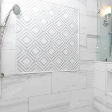 Master Bathroom and Walk In Closet Renovation