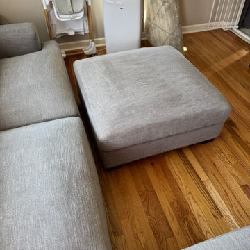 2 couches cleaning in Seattle