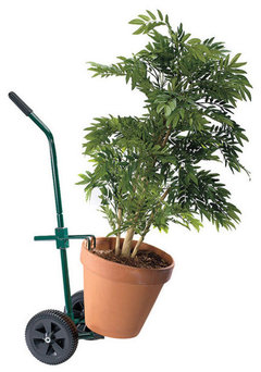 vegetable garden insect spray Dr. Earth® Final Stop® House Plant Insect Killer