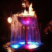 Haley Stevens Field's photo