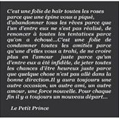 Ambre Bananier's photo