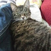 Peggy Davidson's photo