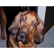 Leslie Long's photo