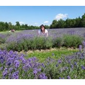 Marie-Hélène Tanguay-Bérubé's photo