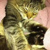 Lynn Hester's photo