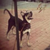 Jake Schneider's photo