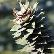 Lorraine Hibbert's photo