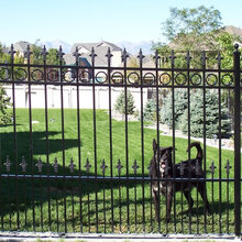 fence