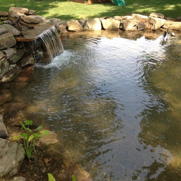Pond Gallery
