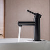 Blossom Brass Round Single Handle Bathroom Vanity Sink faucet, Matte Black