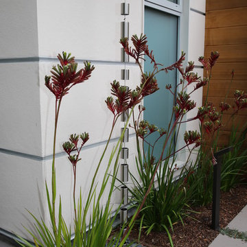 Palo Alto Eichler