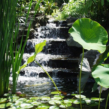 Drexel Hill Garden