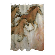 Shower Curtains for JG