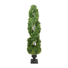 Bush