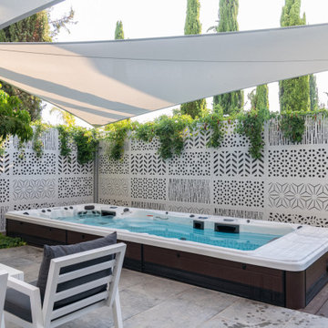 Master Spas- Momentum Swim Spa