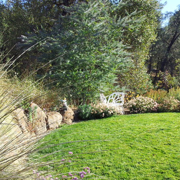 Our Work
