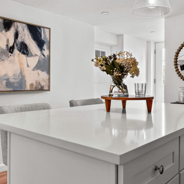 Chestnut Hill Basement Apartment Conversion