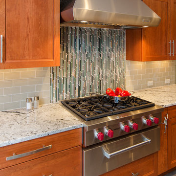 Transitional Kitchens #1