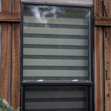 South Georgia Revolve Shades
