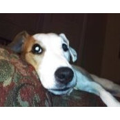 Paige Hensley's photo