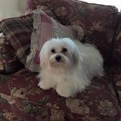 Sandra Nuttall's photo