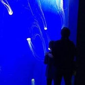 Amanda Beausoleil's photo