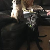 Sue McAbier's photo
