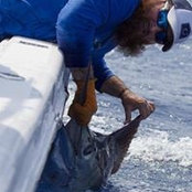 Jonathan Wright's photo