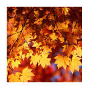 Julie L's photo