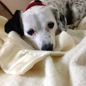 Jenn Lanergan's photo