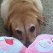 Kim Beardさんの写真