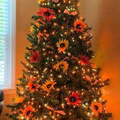 Dawn Mcnay's photo