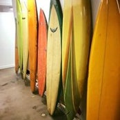Sam Archer's photo