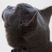 Steven Bushong's photo
